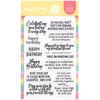 Waffle Flower Stempel - Inside Sentiments Birthday 2